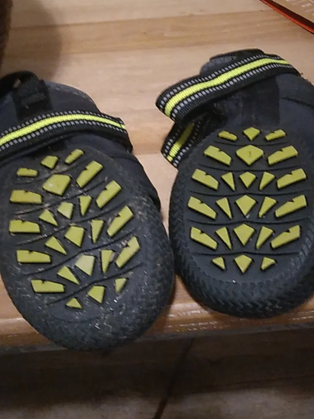 Arcadia Trail All-Terrain Dog Boots